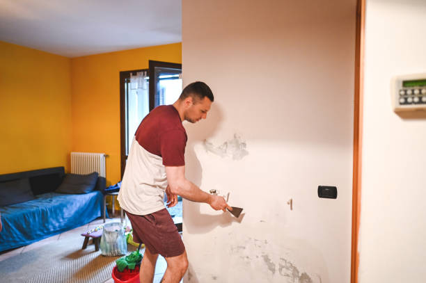 Best Commercial Mold Removal  in Dallas, TX