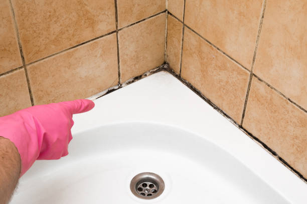Best Residential Mold Removal  in Dallas, TX